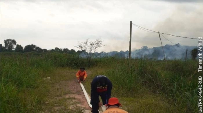 Awal Musim Kemarau, Karhutla Landa 10 Hektare Lahan di Desa Sepaso Barat Kutai Timur