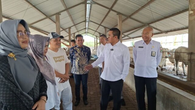 Wabup Kutim Mahyunadi Pelajari Pengelolaan Peternakan Sapi Modern di PT AFUB